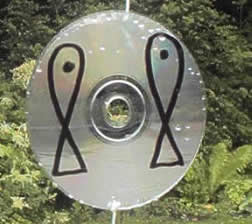 netzsprotten auf CD von brigitta krause KlicK ___KN ausstellung vom kurpark gleich ins netz gesetzt von krause:-)B art2go.net